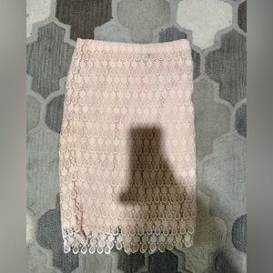 Ann Taylor Blush Lace Skirt